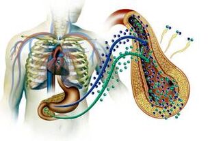Danno al pancreas nel diabete mellito